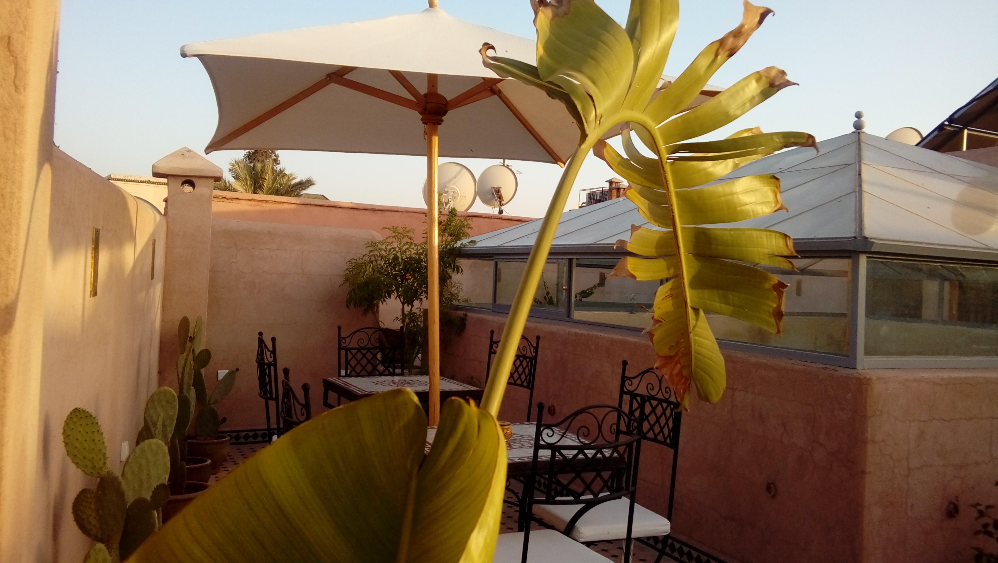Riad Miral Marraquexe Exterior foto